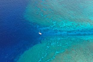 体图：波鸿与浅野拓磨续约谈判破裂，门兴等队有意今夏免签